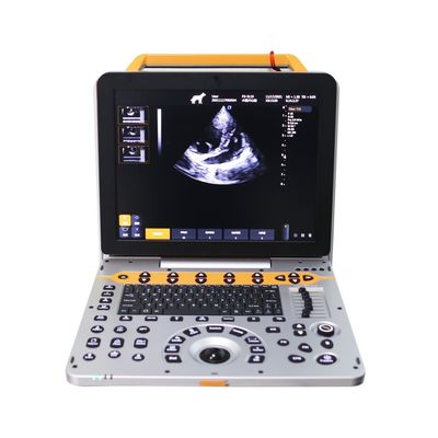 15 pollici P60V Portable Veterinary Color Doppler Ultrasound System per le cliniche di piccoli animali