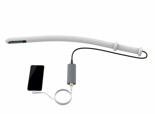 comprare ultrasuono portatile veterinario del veterinario 8MHz per il bovino equino online manufacture