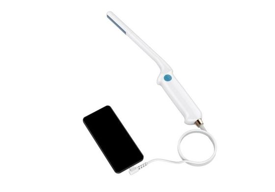 comprare Elemento universale della macchina 80 di ultrasuono del veterinario della sonda di endocavitaria online manufacture