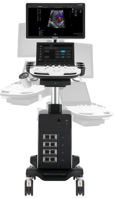 comprare elite di Sonoscape Echo Machine P11 del carrello 5D con 4 connettori del trasduttore online manufacture