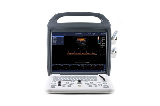comprare Sistema ecografico portatile Color Doppler DCU10 con display HD da 15 pollici per imaging ostetrico/ginecologico, addominale e cardiaco online manufacture