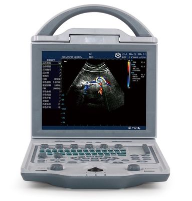 comprare 10,4» macchine portatili di ultrasuono di ultrasuono veterinario dell'esposizione di LED per i maiali 4.5KG online manufacture