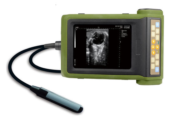 comprare Macchina portatile per ultrasuoni di bestiame per la diagnosi della gravidanza e l'aspirazione follicolare online manufacture