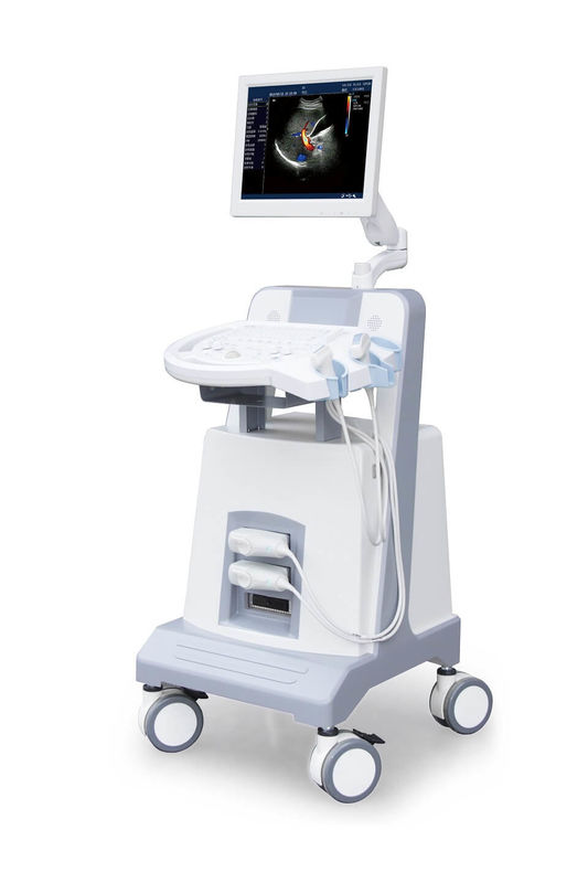 Strumento diagnostico ultrasonico 500GB di ultrasuono di doppler di colore del carrello del livello di entrata