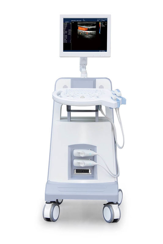 Strumento diagnostico ultrasonico 500GB di ultrasuono di doppler di colore del carrello del livello di entrata