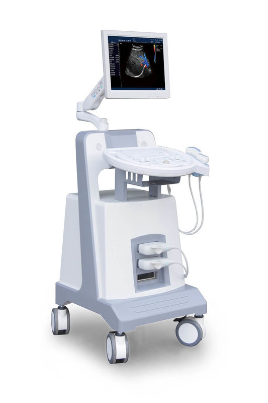 Strumento diagnostico ultrasonico 500GB di ultrasuono di doppler di colore del carrello del livello di entrata