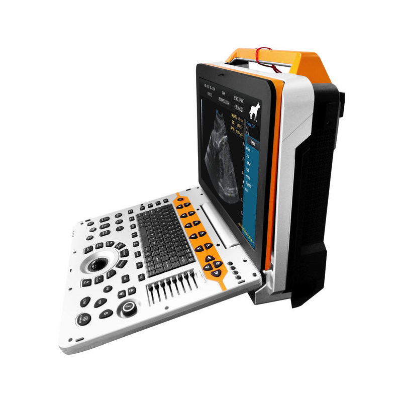 15 pollici P60V Portable Veterinary Color Doppler Ultrasound System per le cliniche di piccoli animali