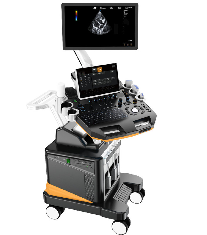 Sistema di imaging professionale per piccoli animali con ecografia veterinaria Color Doppler 3D/4D con LCD da 21,5"